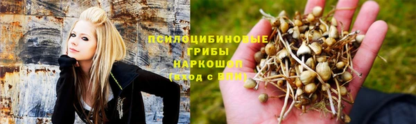 СК Алзамай